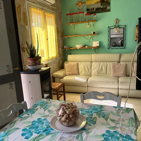 公寓 Peter's House 奧爾比亞